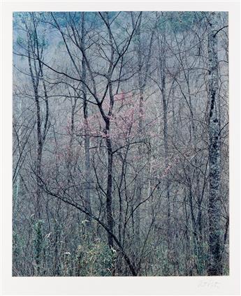 ELIOT PORTER (1901-1990) Portfolio entitled Intimate Landscapes.